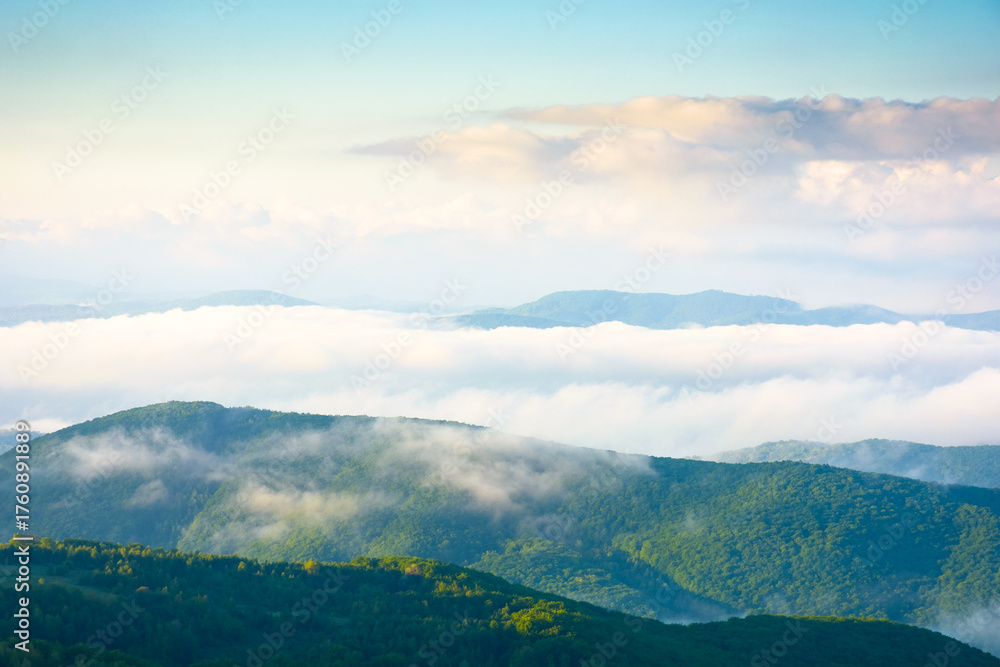 Obraz premium spring mountain landscape of ukraine with fog in valley and clouds on blue sky in morning light. dramatic atmosphere phenomenon view from the top. evaporating forest on the hills of carpathians