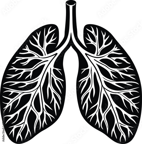  illustration of human lungs