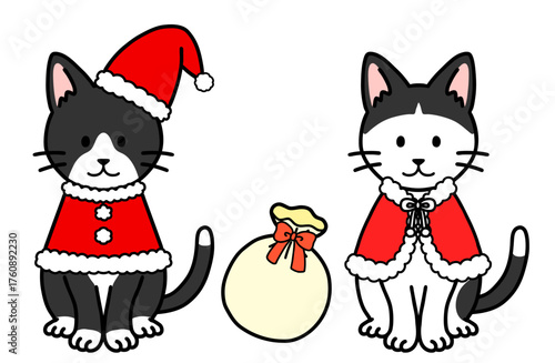 クリスマスコスチュームの猫・ネコ・ねこ
