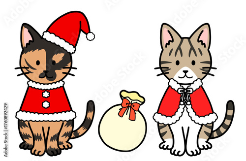 クリスマスコスチュームの猫・ネコ・ねこ