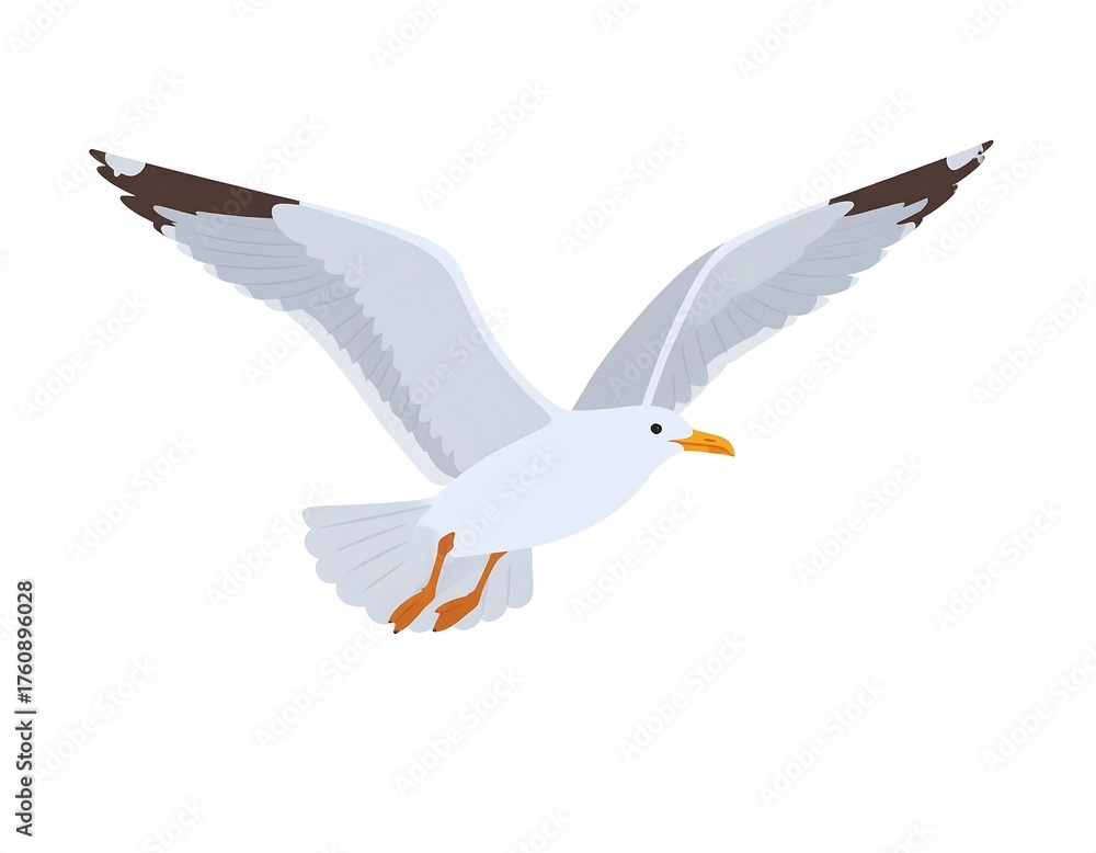 Fototapeta premium Flying seagull, wings outstretched