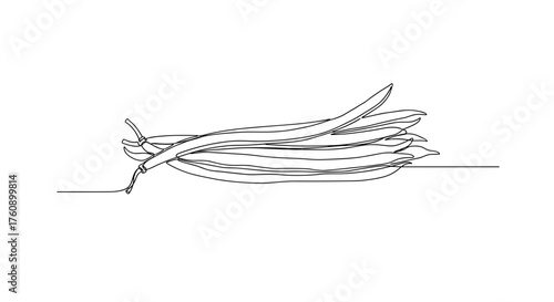 String beans on newspaper in minimalist line art – symbol of simplicity and rural life