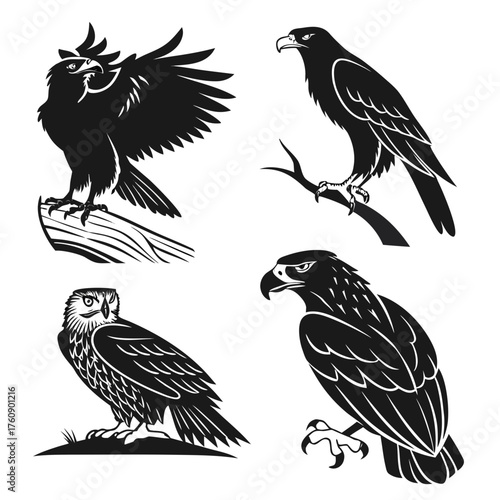 Vector art of collection of four different birds of prey silhouettes