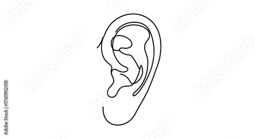 Human ear symbolizing hearing, communication, and medical anatomy. Line art vector illustration, isolated on a transparent background