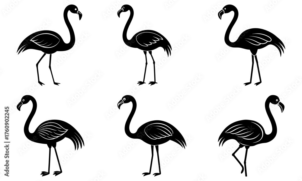 Obraz premium Six black flamingo silhouettes standing in various poses against a white background in a vector format