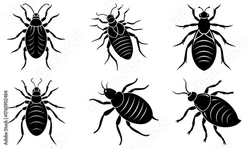A collection of six stylized black and white vector drawings of various insect or beetle species shown