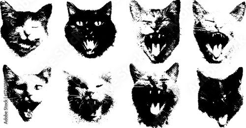 Cats with expressive faces in black and white. This vector illustration showcases various feline reactions in a simple art style.