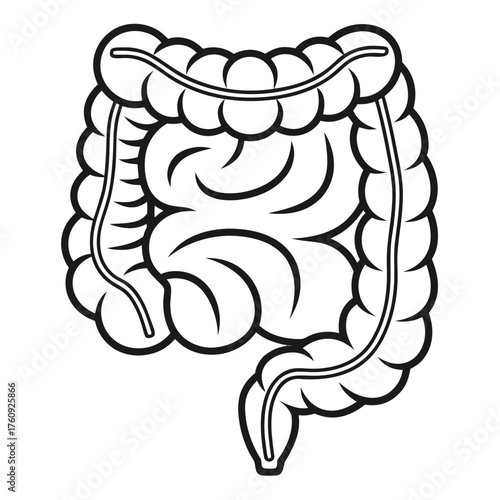 Vector illustration of human intestine organ icon, modern minimal design, clean medical symbol representing digestive system