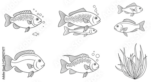 Vactor illustration of fish set for aquatic animal concept design