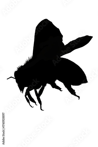 Black vector illustration of a flying witch silhouette with a bird and a fantasy horse for Halloween art design