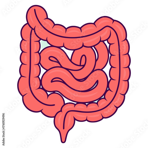 Vector illustration of human intestine organ icon, modern minimal design, clean medical symbol representing digestive system