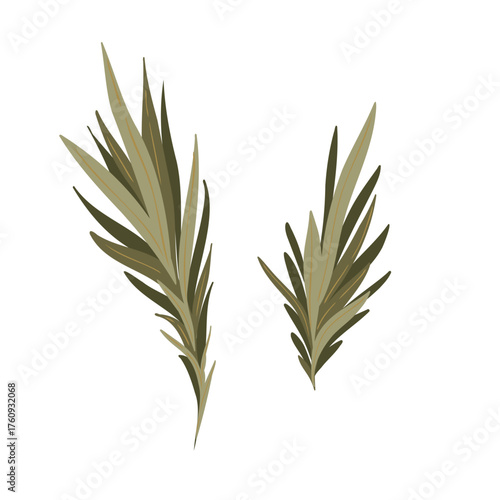 (Несколько значениSet of stylized dark green leaves isolated on white. Hand drawn vector botanical element for decorationй)
