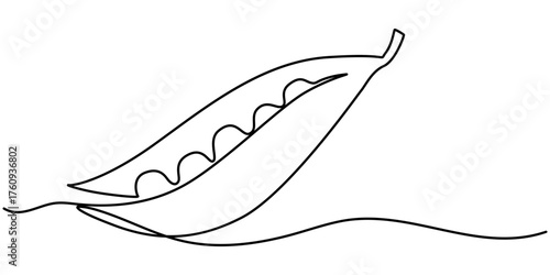 Continuous one line drawing capturing the simple beauty of a fresh pea pod vector outline illustration. 