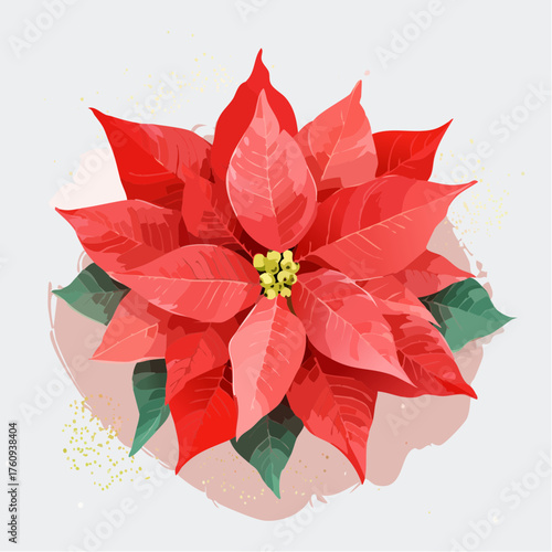 Roter Weihnachtsstern in Aquarell-Optik