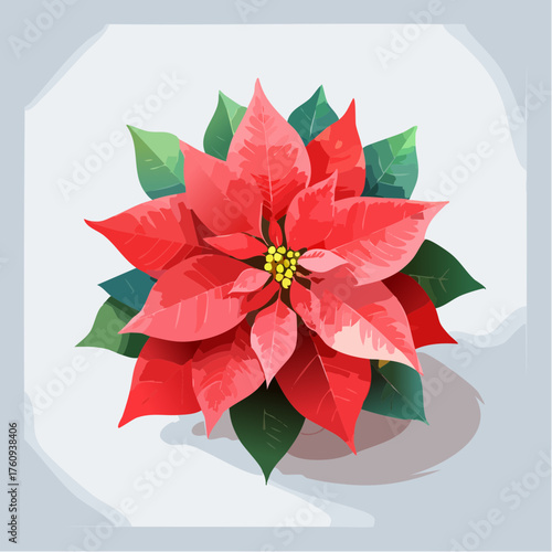 Roter Weihnachtsstern in Aquarell-Optik