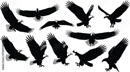 Eagle silhouette collection, flying bird shapes, majestic raptor wings spread, wildlife vector design, predator landing pose, 