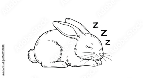 A detailed sketch of a fluffy rabbit peacefully sleeping and dreaming of carrots.