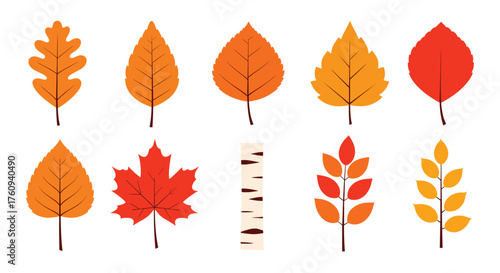 A collection of colorful autumn leaves and birch bark elements perfect for seasonal designs.