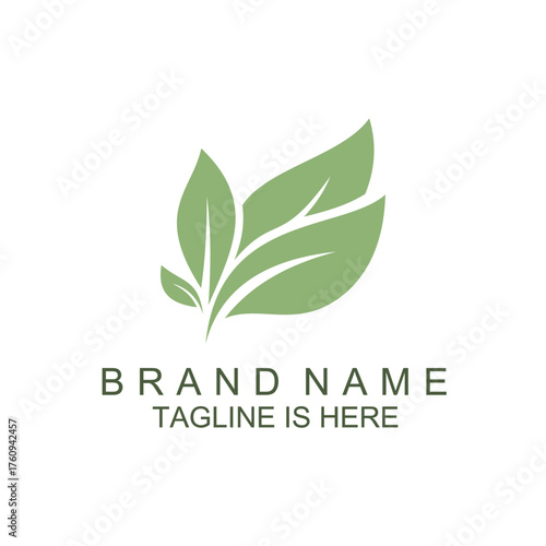 Eco-Friendly Brand Logo