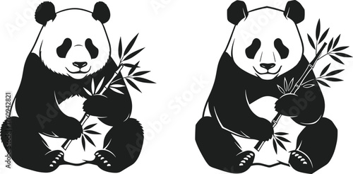 Cute panda bear vector illustration set, eating bamboo design for wildlife, logo, tattoo, nature, and conservation themed artwork