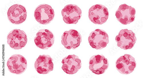 A collection of fifteen pink round cells with internal structures suggesting cellular biology or medical imagery.