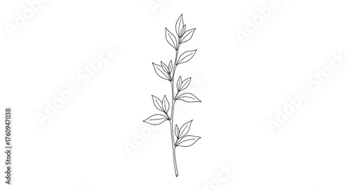 A close up of a branch with many leaves on it in black and white.