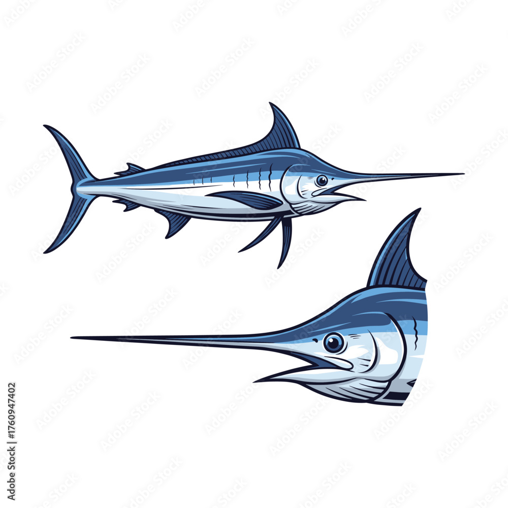Fototapeta premium Swordfish Fullbody and Close-Up Illustration