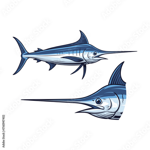 Swordfish Fullbody and Close-Up Illustration