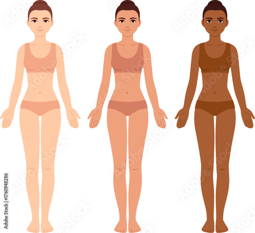 Female body template, diverse skin tones. Young women with different complexion in underwear. Vector clip art for medical infographic and fashion illustration.