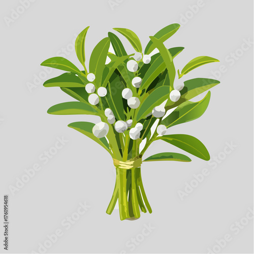 Mistelzweig mit weißen Beeren