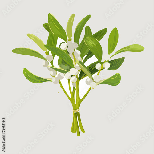 Mistelzweig mit weißen Beeren