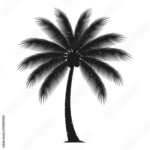 Silhouette tropical palm tree with fronds and coconut fruit for beach and summer designs