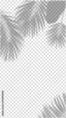 Shadow a palm leaf. Palm shadow overlay effect, realistic sunmmer sunlight tropical leaves shadows isolated on transtarent background.  EPS10.