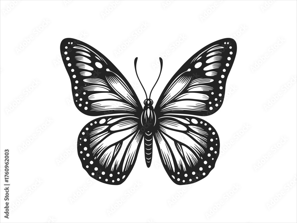Obraz premium butterfly vector logo design