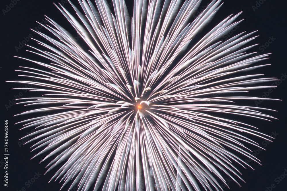 Obraz premium 花火