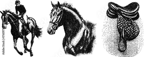 Horse and rider vector illustration in vintage style showcasing detailed saddle equipment. Retro black outline emphasizes equestrian tradition.