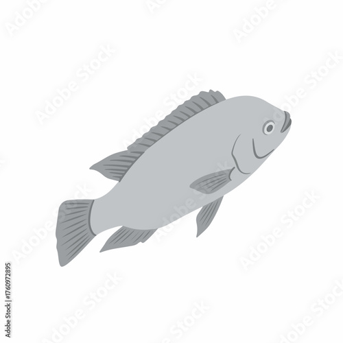 Simple Flat Illustration Tilapia Freshwater Food Animal Farming Graphic Design