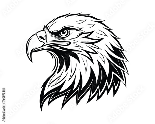 A striking black and white sketch of an eagle's head, rendered with bold lines showing sharp detail and a powerful gaze