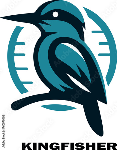Kingfisher bird logo vector .