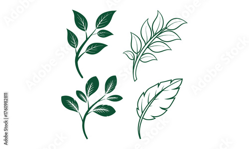 Fresh green leaf vector pack with detailed and simple leaf designs for natural-themed illustrations.