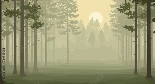 Misty Pine Forest with Tall Trees and a Soft Sunrise Glow, Tranquil Natural Landscape
