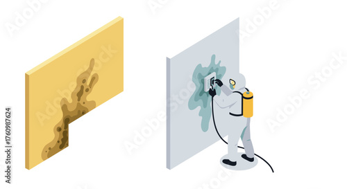 Mold removal process with professional in protective suit and equipment