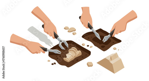 Hands engaged in archaeological dig with tools and fossils