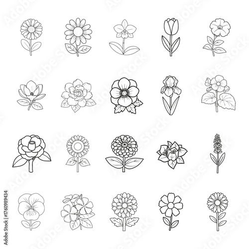 Flowers Coloring Book Page Line Art for Adults and Kids, Printable Educational and Relaxation Illustration