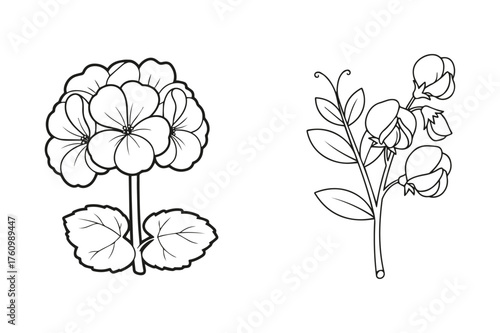 Flowers Coloring Book Page Line Art for Adults and Kids, Printable Relaxation and Educational Illustration