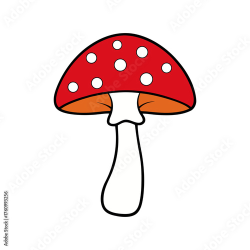 Classic scientific sketch of single amanita mushroom vector illustration