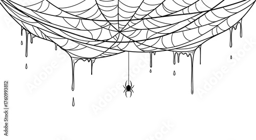 A spider hangs from its web with dripping strands, creating a spooky and eerie atmosphere.
