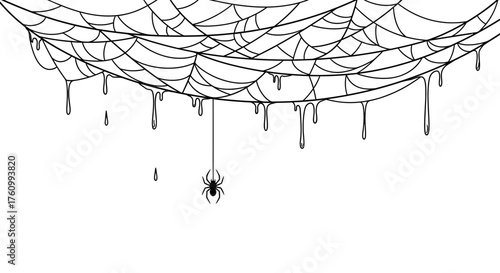 A spider hangs from a dripping web, creating a spooky and eerie atmosphere for Halloween or horror.