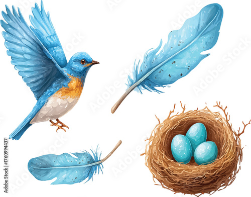 a bluebird, flying bird, feather, and nest with eggs icons set, vector illustration on a white background