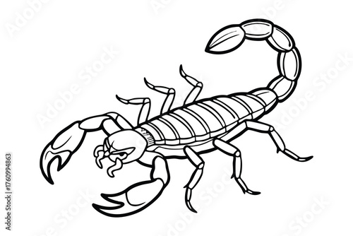 Scorpion Line Art Illustration – Detailed Arachnid Outline Drawing on White Background